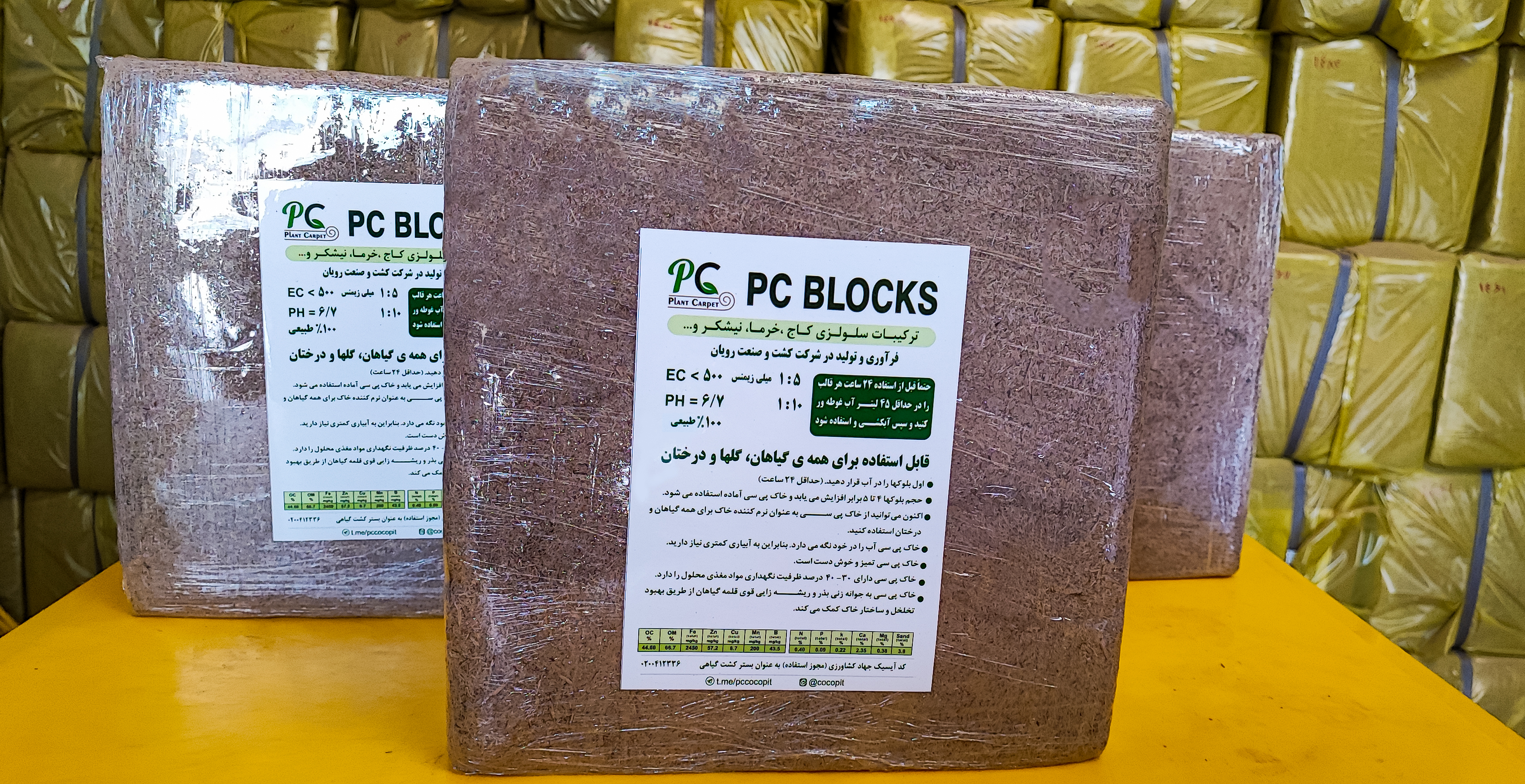 پی سی پیت