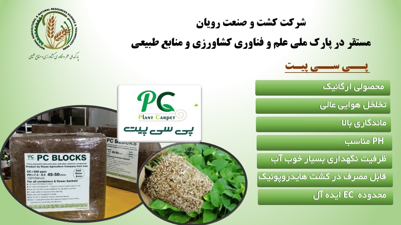 “پی سی پیت”: نوآوری ایرانی در بستر کشت پایدار و کاهش وابستگی به واردات
