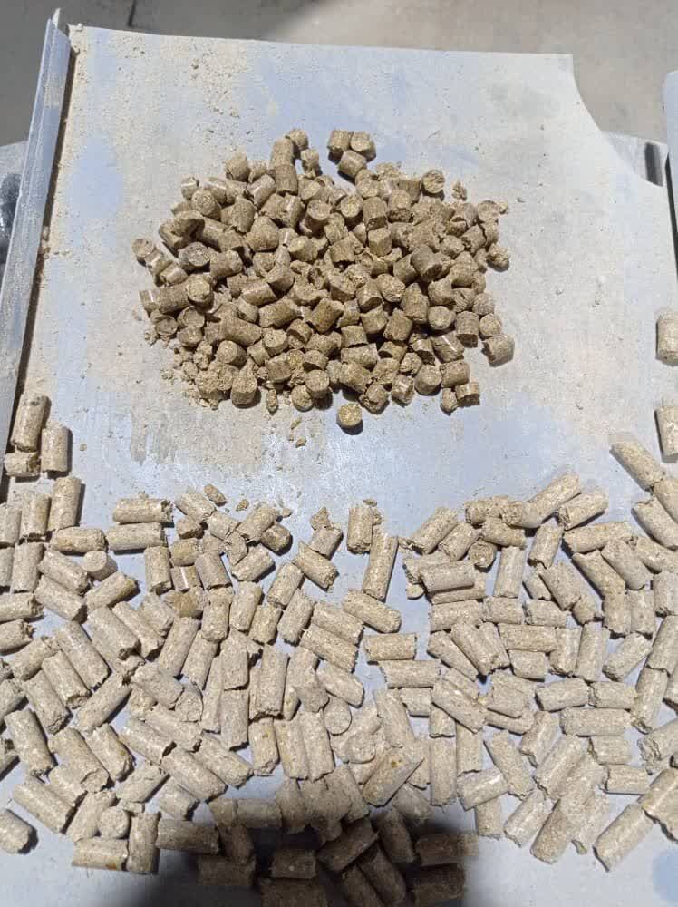 سویشا
