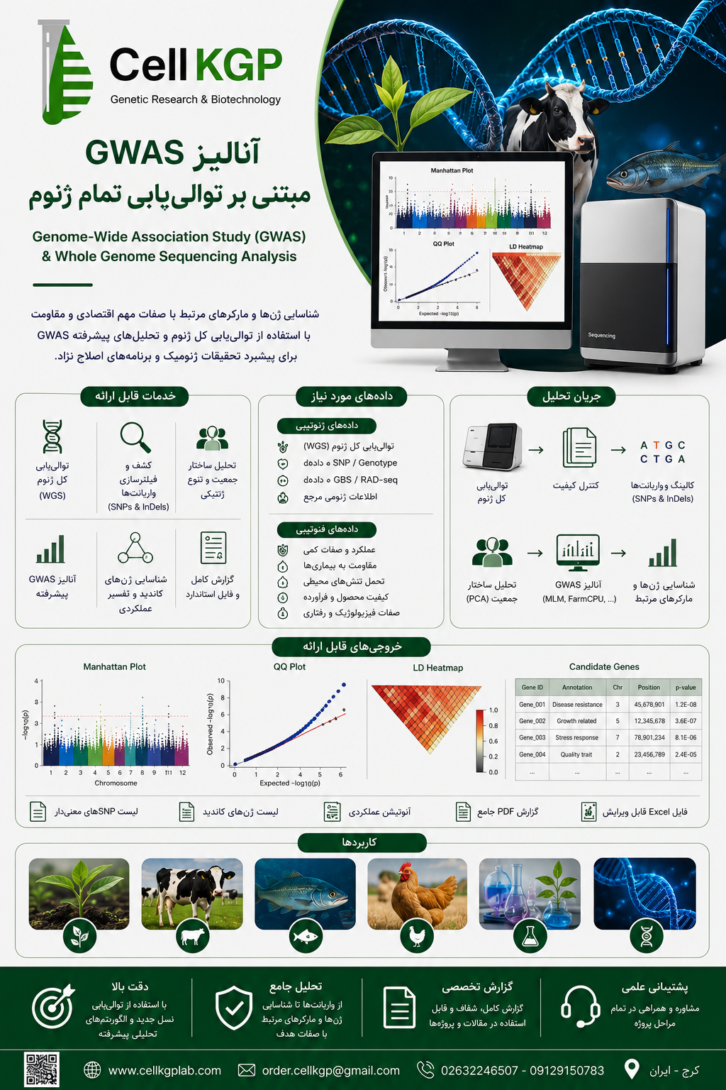 آنالیز ارتباط ژنومی گسترده (GWAS) مبتنی بر توالی‌یابی کل ژنوم