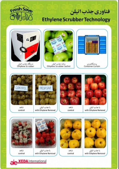 فناوری جاذب و کنترل کننده اتیلن Fresh Save